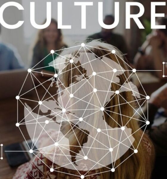 Desi.net: Global Connections Rooted in Culture