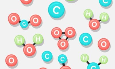 Decoding HCOOH, CH2, and H2O: The Role of These Molecules in Chemistry