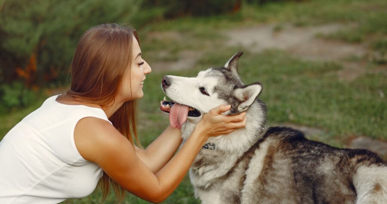 SRT-Lebron Huskies